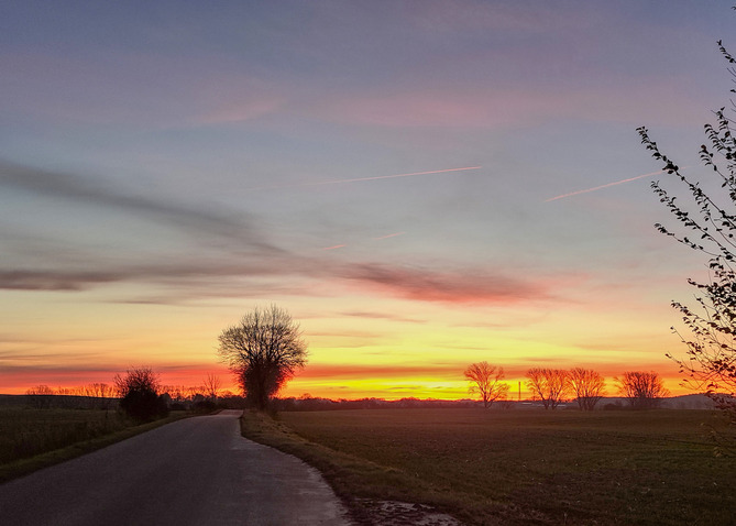 Ferienhaus in Carinerland - Kreativscheune Garvensdorf - Bild 24