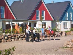 K&ouml;hlbrandt