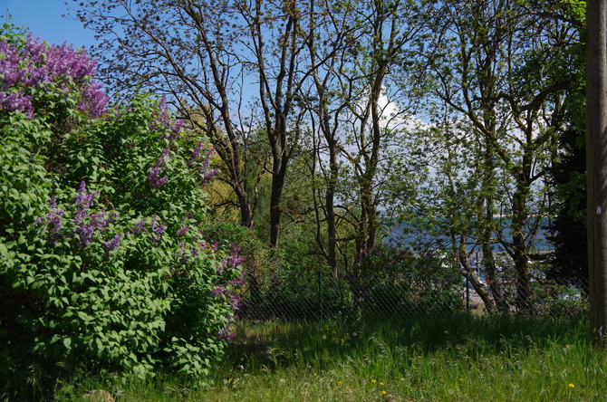 Ferienwohnung in Barhöft - Matrosendeck - Lotsenhaus Barhöft - Matrosendeckwohnung - Garten