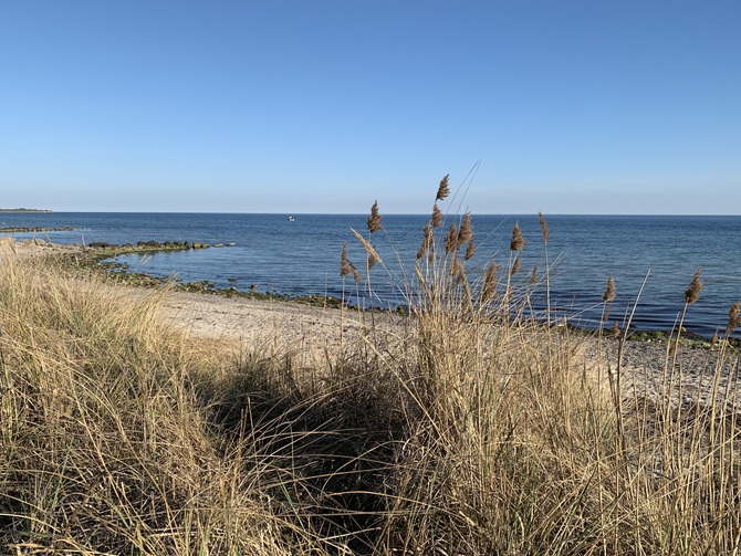 Ferienhaus in Fehmarn OT Meeschendorf - Inselhaus Meeschendorf - Bild 15