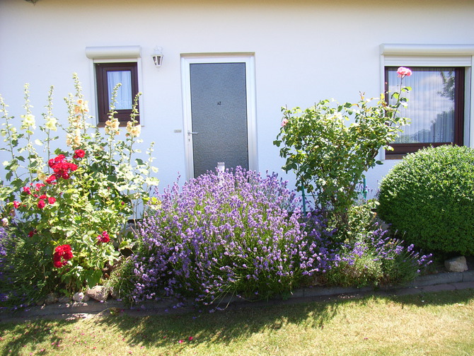 Ferienwohnung in Dahme - Anna`s Ferienwohnung - Eigener Eingang vom Garten