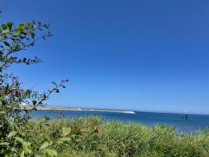 Ferienwohnung in Fehmarn OT Marienleuchte - Penthouse Seeblick am Leuchtturm - Bild 3