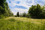 Ferienhaus in Wittenbeck - Ferienhaus Staack - Bild 19