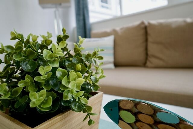 Ferienwohnung in Sellin -  Ferienappartement M&ouml;nchgut 14 - Bild 8