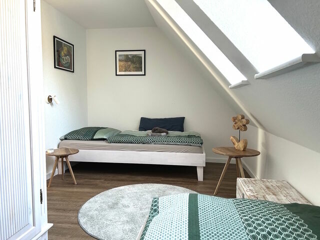 Ferienhaus in Prerow - Kormoran Muschelsucher - Bild 23