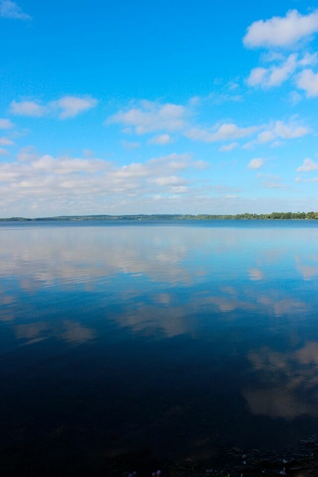 Ferienwohnung in Haby - Herrmannshof Haby App 4 Noor - Bild 17