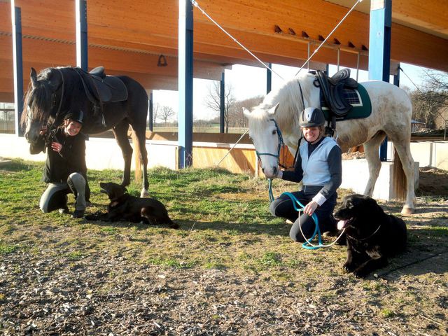 Ferienwohnung in Friedensthal - Mamsahi - Bild 6