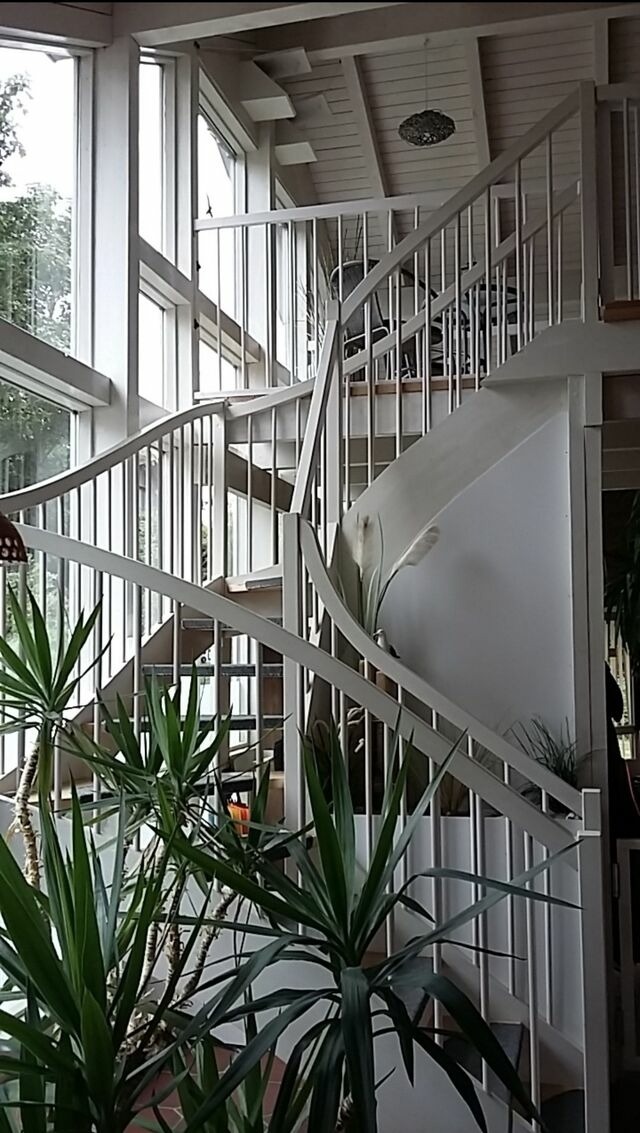 Ferienwohnung in Heiligenhafen - Ferienwohnung "Baltic Stuuv" - Bild 18