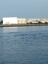 Ferienwohnung in Fehmarn OT Burgtiefe - FW Knütel Nr. 52 - Bild 14