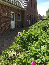 Ferienhaus in Fehmarn OT Sulsdorf - Bauernhof Kleingarn-Landhus Reihenhaus Nr. 21 - Bild 4