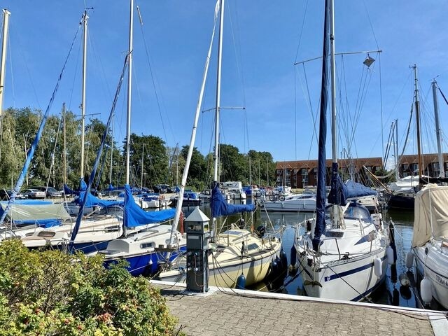 Ferienwohnung in Ueckermünde - Lagunenstadt am Haff Fewo 110 - Neptun - Bild 14