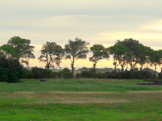 Ferienhaus in Fehmarn OT Fehmarnsund - Ferienhaus Br&uuml;ckenblick 12 A - direkt am Meer - Bild 22