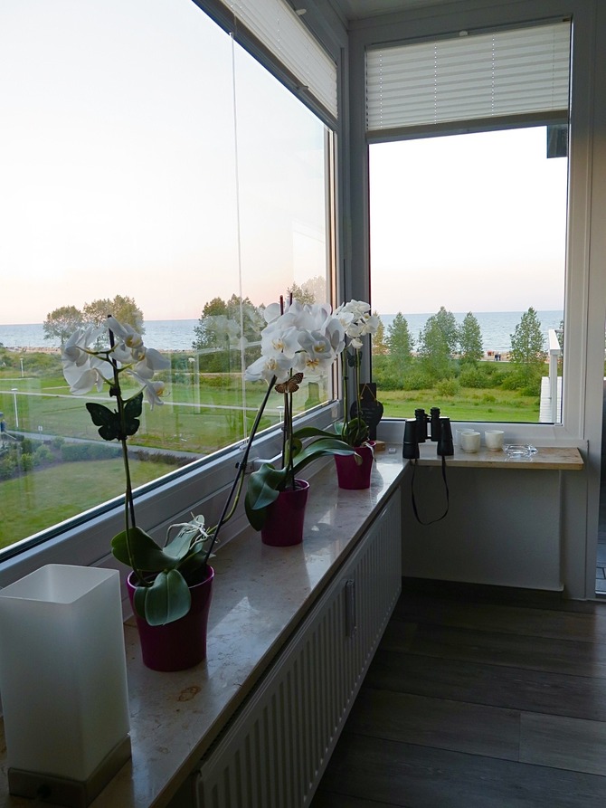 Ferienwohnung in Grömitz - Ostseeblick Hanseat I Grömitz - Bild 7