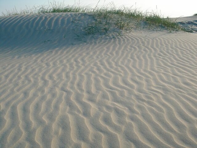 Ferienwohnung in Haffkrug - Strandläufer - Bild 9