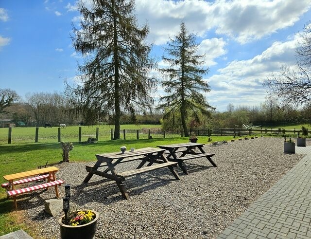 Ferienwohnung in Gr&ouml;mitz - "Pappelhof - Whg. 9" - Bild 18