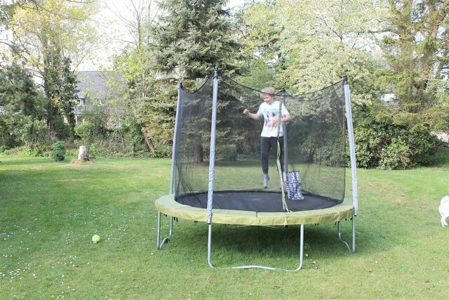 Ferienwohnung in Gr&ouml;mitz - "Pappelhof - Whg. 9" - Bild 24