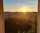 Ferienhaus in K&uuml;hlungsborn - Schlehdornhaus - Sonnenuntergang