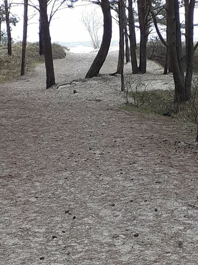 Ferienwohnung in Karlshagen - ferienwohnung k&ouml;ster - Bild 16