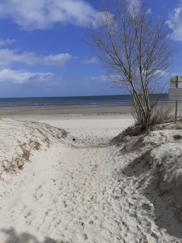 Ferienwohnung in Karlshagen - ferienwohnung k&ouml;ster - Bild 17