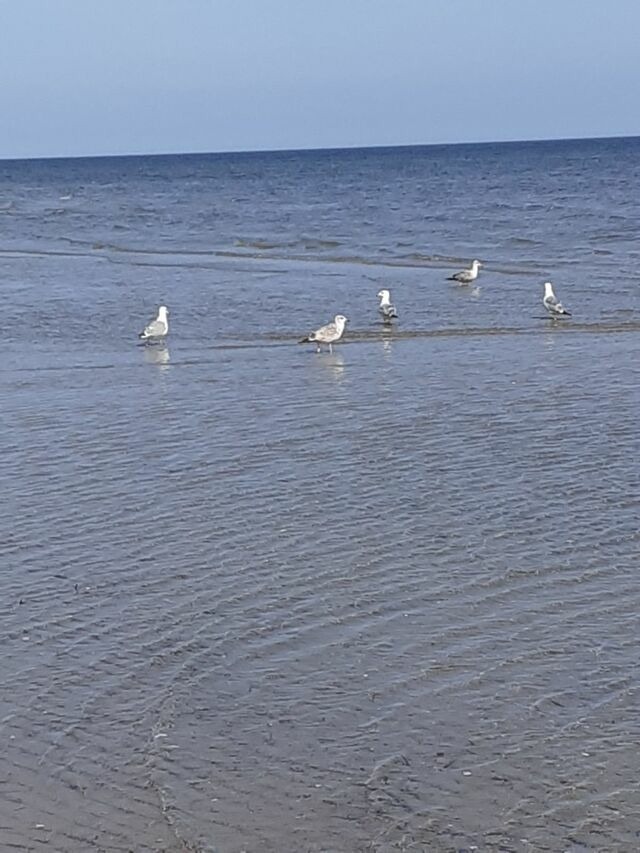 Ferienwohnung in Karlshagen - ferienwohnung k&ouml;ster - Bild 19