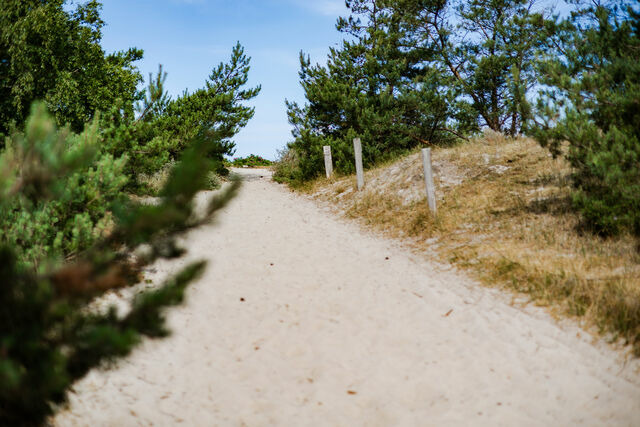 Ferienwohnung in Dierhagen - DER ST&Ouml;RTEBEKER - "Apartment Wieck" | Apartments hinter den D&uuml;nen - Bild 14