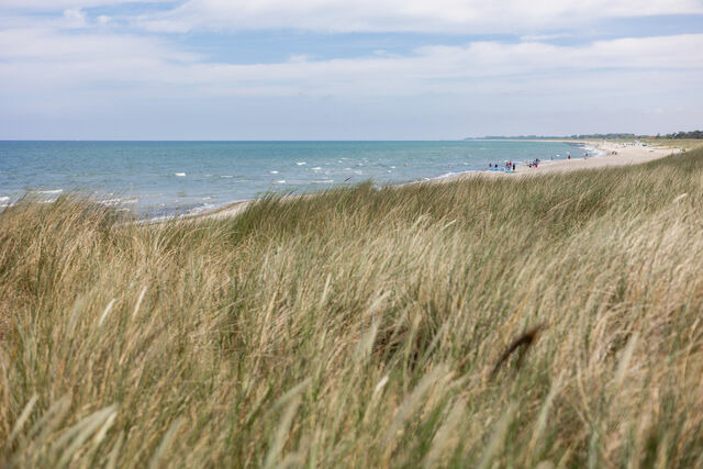 Ferienwohnung in Dierhagen - DER ST&Ouml;RTEBEKER - "Apartment Wieck" | Apartments hinter den D&uuml;nen - Bild 19