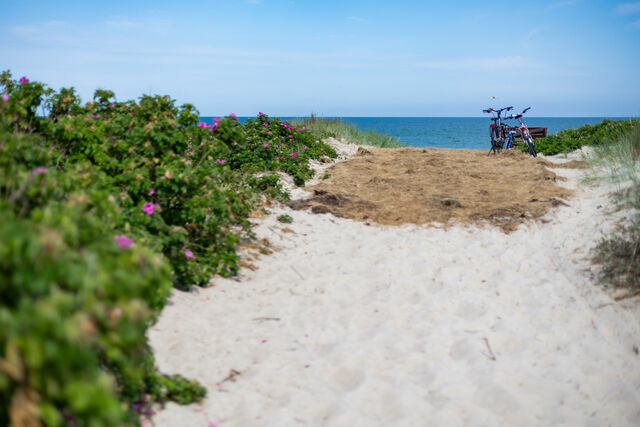 Ferienwohnung in Dierhagen - DER ST&Ouml;RTEBEKER - "Apartment Prerow" | Apartments hinter den D&uuml;nen - Bild 10