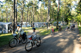 Ferienwohnung in Dranske - Mietwohnwagen - Bild 6