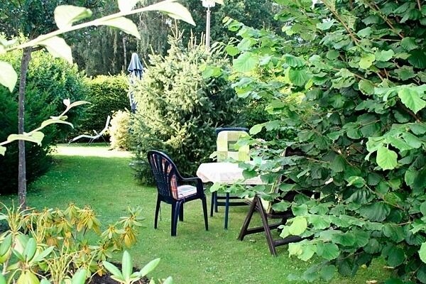 Ferienwohnung in Ostseeheilbad Zingst - Vo&szlig;, FW - Bild 7