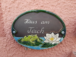 Haus am Teich - Vogelflug