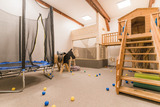 Ferienwohnung in Fehmarn - Ferienhof B&uuml;dlfarm - West - Bild 9