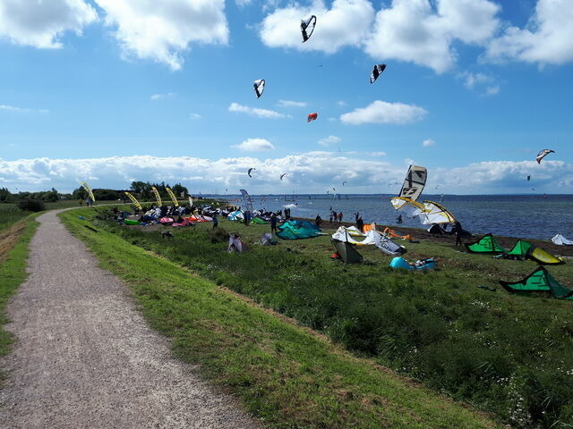 Ferienwohnung in Fehmarn - Knusthof Lafrenz - Küstenblick - Bild 9