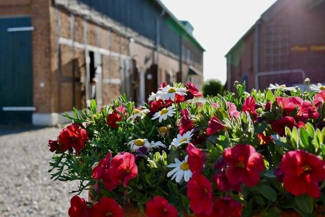 Ferienwohnung in Fehmarn - Knusthof Lafrenz - Küstenblick - Bild 12