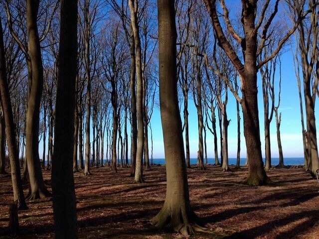 Ferienwohnung in B&ouml;rgerende - Baltic Dreams - Residenz am Meer 08 - Bild 17