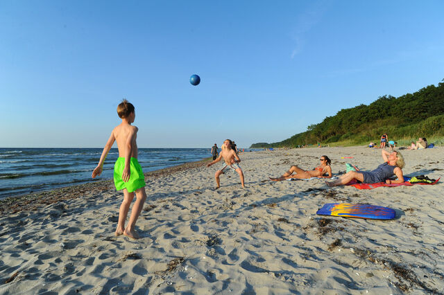 Ferienwohnung in Klütz - Palm Ferienhaus - Grün - Bild 12