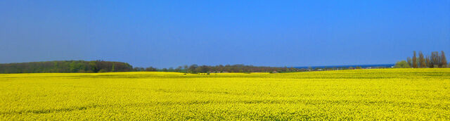 Ferienwohnung in S&uuml;ssau - Wiese - Bild 17
