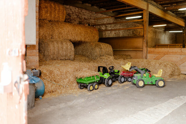 Ferienwohnung in Fehmarn OT Staberdorf - Achter de H&ouml;f Whg. 1 - Bild 25