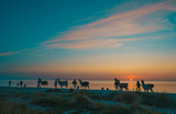 Doppelzimmer in Fehmarn OT Westermarkelsdorf - Lüftchen - Bild 8