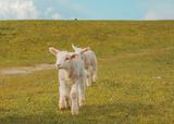 Doppelzimmer in Fehmarn OT Westermarkelsdorf - Lüftchen - Bild 22