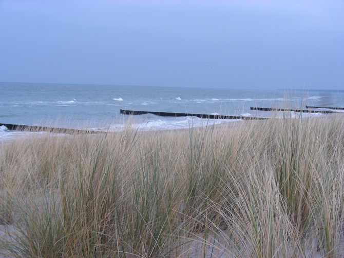 Ferienwohnung in Wieck a. Darß - Aalreuse 2 - Strandhafer mit Holzbuhnen