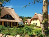 Ferienhaus in Dierhagen - Reetgedecktes Ferienhaus - Bild 1