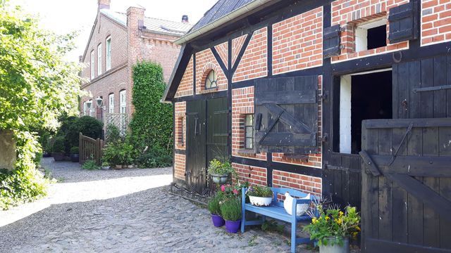 Ferienwohnung in Fehmarn OT Sahrensdorf - Ferienwohnung "Buschwindröschen" im Ferienhaus Nielson in Petersdorf - Bild 16