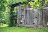 Ferienhaus in Carinerland - Scheune - Bild 1