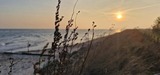 Ferienwohnung in Riepsdorf - Urlaub mit Hund - freie Zeiten im Sommer - Bild 23