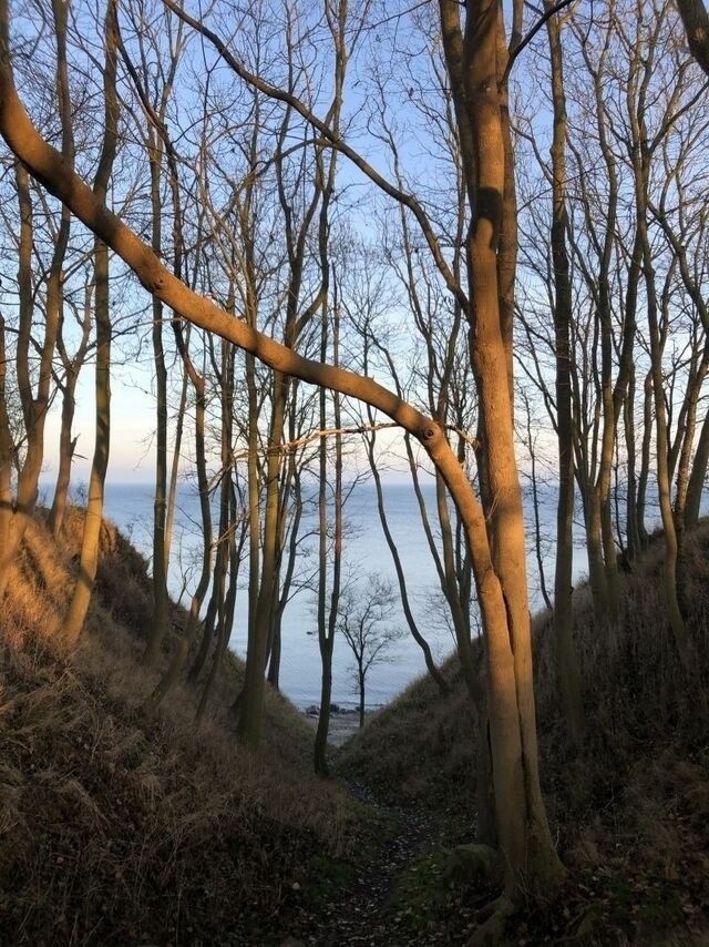 Ferienhaus in Steinbeck - MP 9 Villa - Bild 12