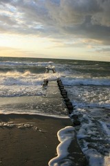 Ferienwohnung in Born a. Darß - Ferienwohnung Nr. 04 (EG) - Bild 17