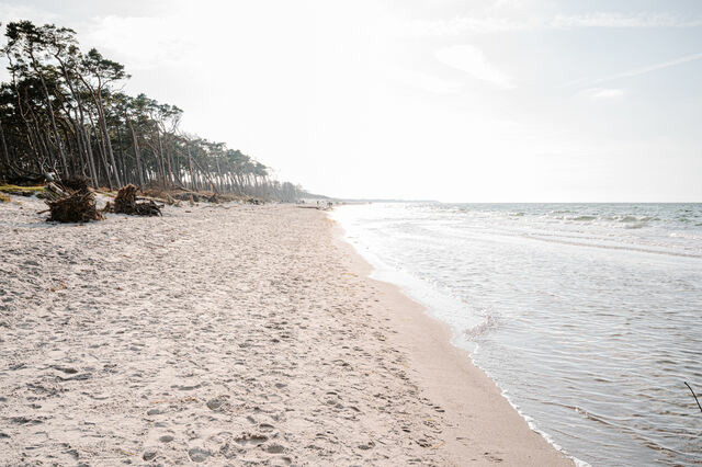 Ferienwohnung in Ahrenshoop - Stranddüne 2 - Bild 9