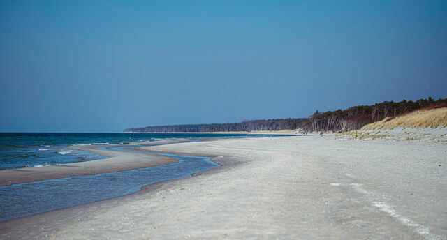 Ferienwohnung in Ahrenshoop - Seeblick 3 - Bild 9