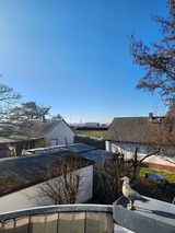 Ferienwohnung in Zingst - Boddenkieker 03 - Bild 6