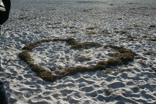 Ferienwohnung in Prerow - GH - w13 - Bild 7